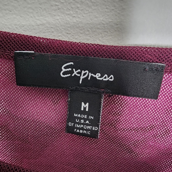 Express Y2K mesh long sleeved sheer printed top - Picture 8 of 11